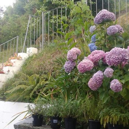 Apartment Maison De Marina Piano di Follo Dış mekan fotoğraf